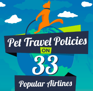 View of Pet Travel Policies on 33 Popular Airlines Around the World