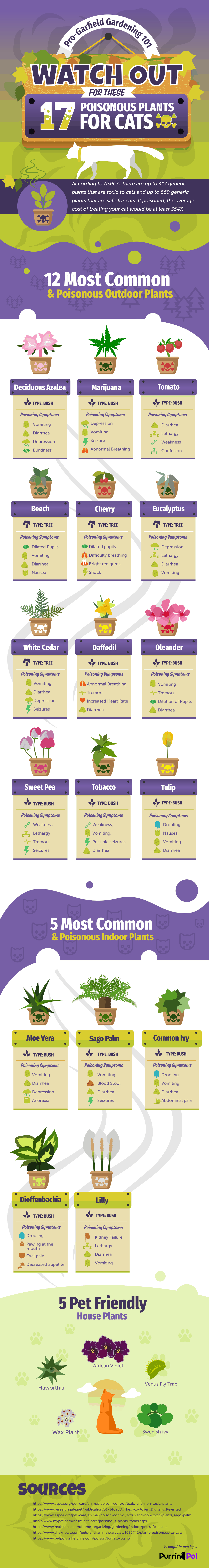 plants that are poisonous for cats