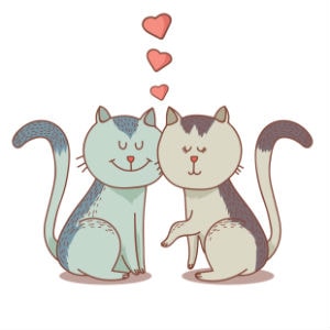 Two lovely cats