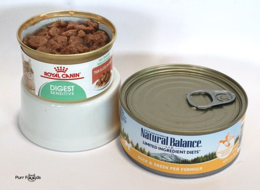 Best cat food outlet for irritable bowel disease