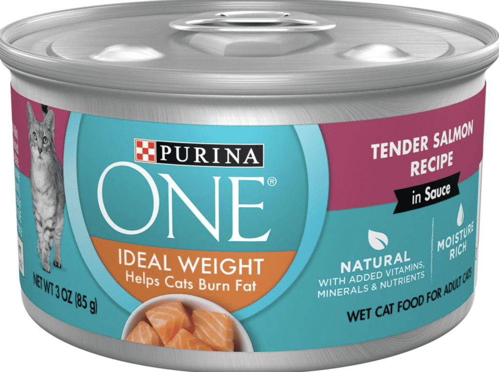 Best 9 Cat Foods for Healthy Skin and Coat