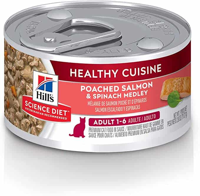 Best 9 Cat Foods for Healthy Skin and Coat