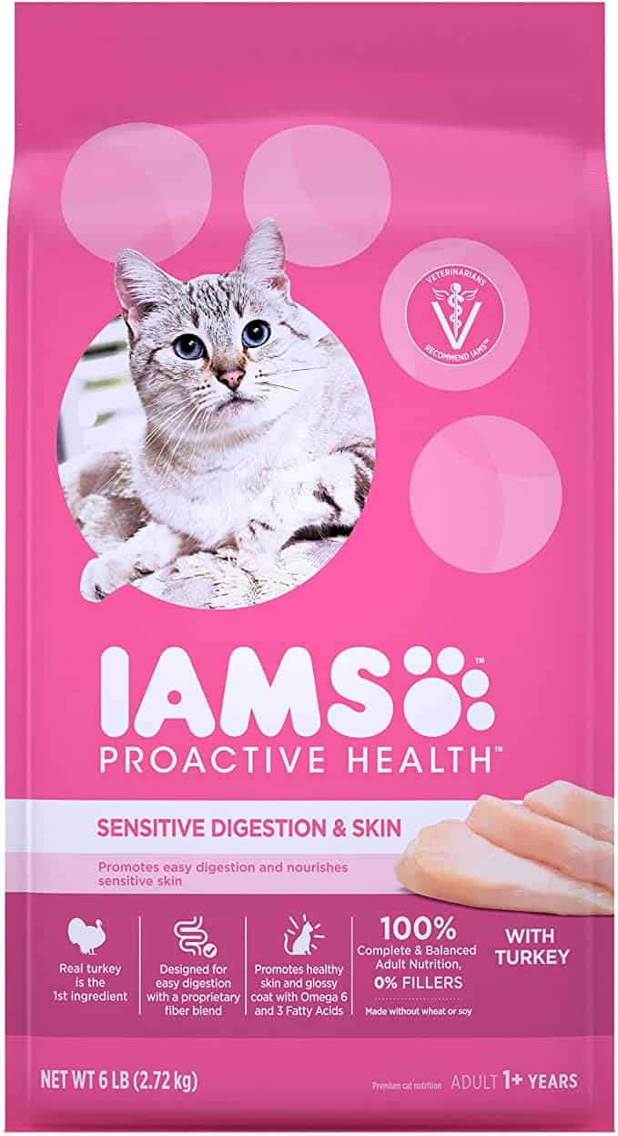 Best 9 Cat Foods for Healthy Skin and Coat